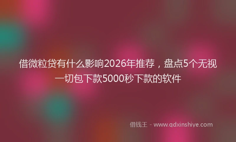 借微粒贷有什么影响2026年推荐,盘点5个无视一切包下款5000秒下款的软件