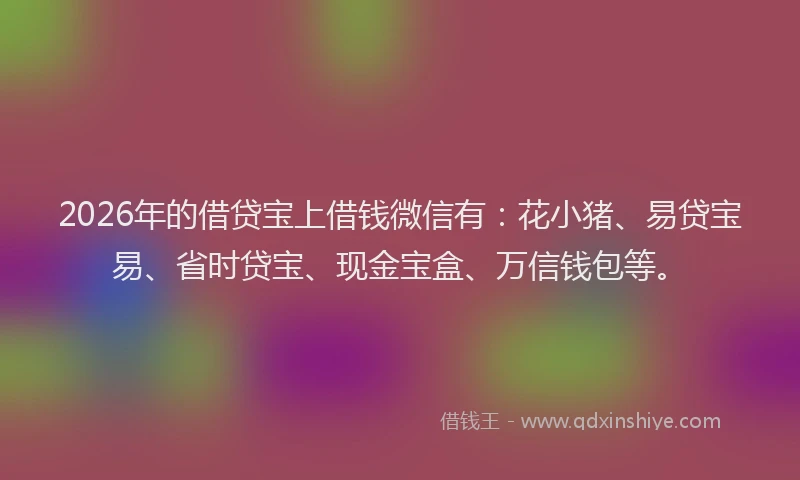 2026年的借贷宝上借钱微信有：花小猪、易贷宝易、省时贷宝、现金宝盒、万信钱包等。