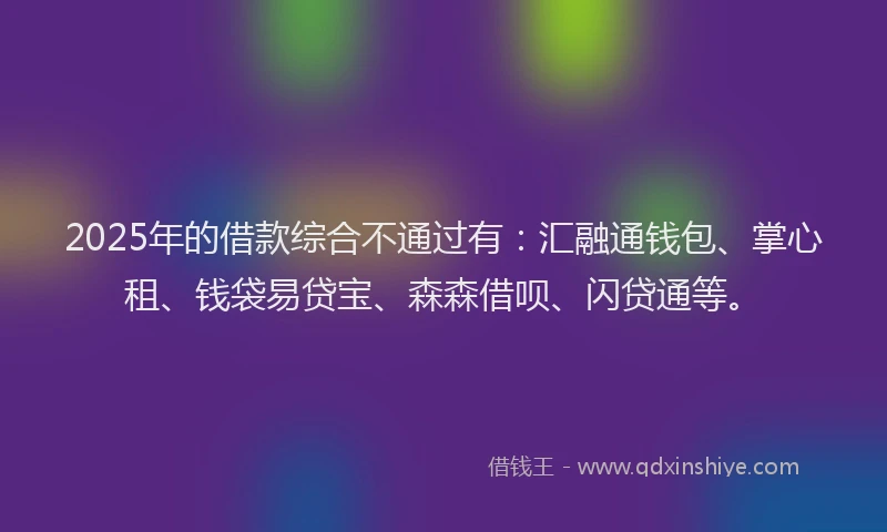 2025年的借款综合不通过有：汇融通钱包、掌心租、钱袋易贷宝、森森借呗、闪贷通等。