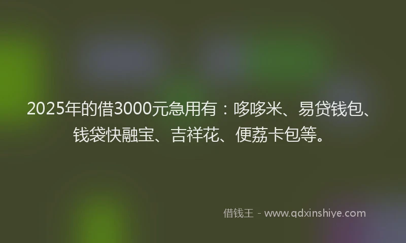 2025年的借3000元急用有：哆哆米、易贷钱包、钱袋快融宝、吉祥花、便荔卡包等。