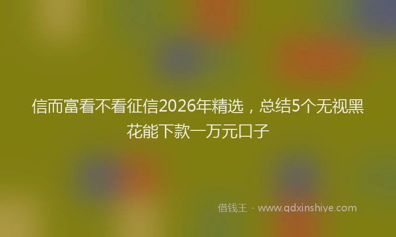 信而富看不看征信2026年精选，总结5个无视黑花能下款一万元口子