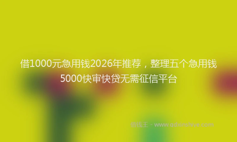 借1000元急用钱2026年推荐，整理五个急用钱5000快审快贷无需征信平台