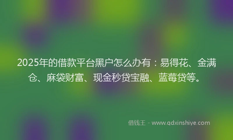 2025年的借款平台黑户怎么办有:易得花、金满仓、麻袋财富、现金秒贷宝融、蓝莓贷等。