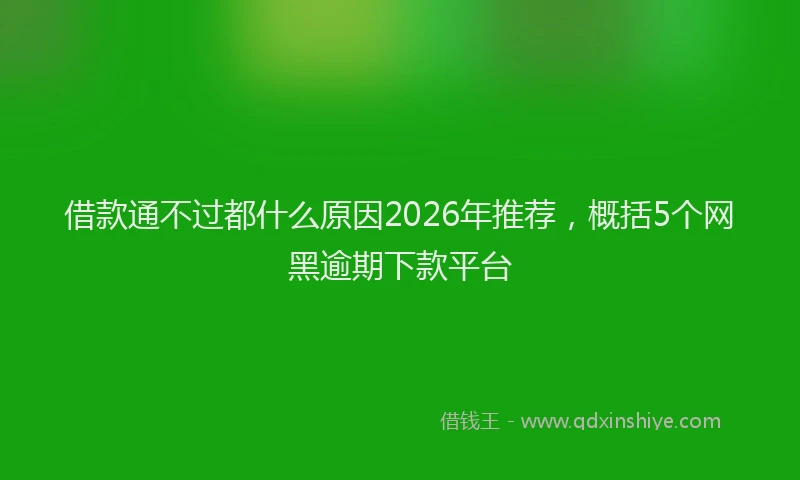 借款通不过都什么原因2026年推荐，概括5个网黑逾期下款平台