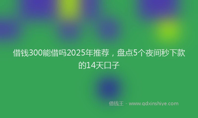 借钱300能借吗2025年推荐，盘点5个夜间秒下款的14天口子