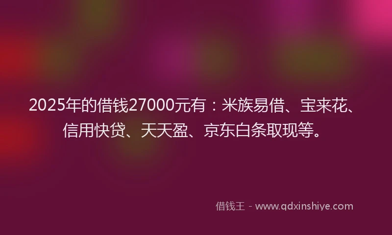 2025年的借钱27000元有：米族易借、宝来花、信用快贷、天天盈、京东白条取现等。