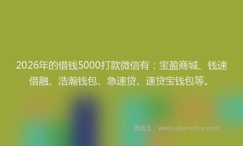 2026年的借钱5000打款微信有:宝盈商城、钱速借融、浩瀚钱包、急速贷、速贷宝钱包等。