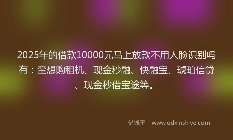 2025年的借款10000元马上放款不用人脸识别吗有:蛮想购租机、现金秒融、快融宝、琥珀信贷、现金秒借宝途等。