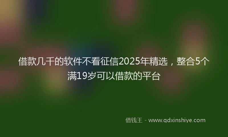 借款几千的软件不看征信2025年精选,整合5个满19岁可以借款的平台
