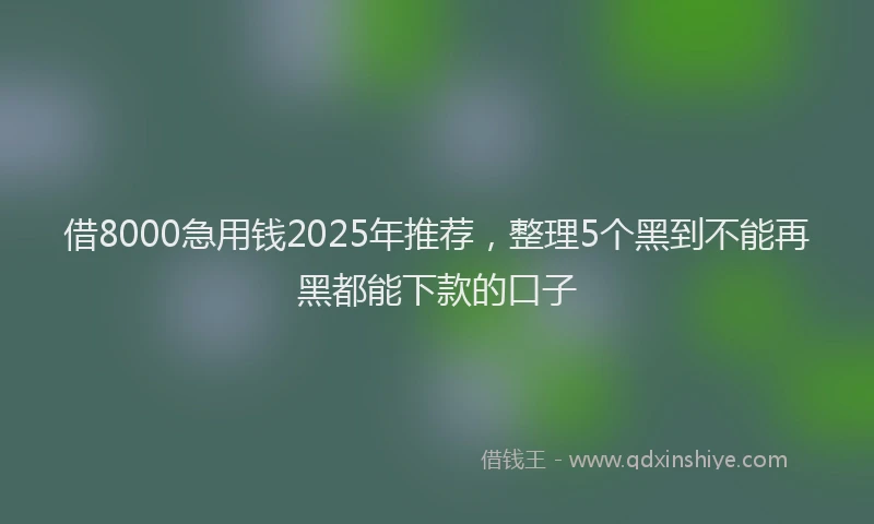 借8000急用钱2025年推荐,整理5个黑到不能再黑都能下款的口子