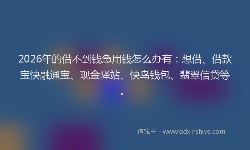 2026年的借不到钱急用钱怎么办有:想借、借款宝快融通宝、现金驿站、快鸟钱包、翡翠信贷等。