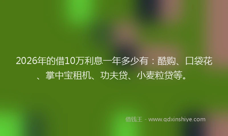 2026年的借10万利息一年多少有:酷购、口袋花、掌中宝租机、功夫贷、小麦粒贷等。
