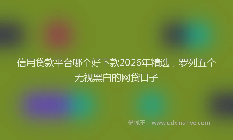 信用贷款平台哪个好下款2026年精选，罗列五个无视黑白的网贷口子