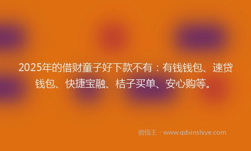 2025年的借财童子好下款不有：有钱钱包、速贷钱包、快捷宝融、桔子买单、安心购等。