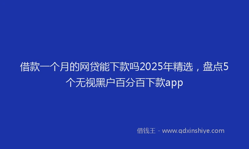 借款一个月的网贷能下款吗2025年精选，盘点5个无视黑户百分百下款app
