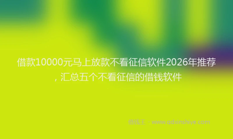 借款10000元马上放款不看征信软件2026年推荐,汇总五个不看征信的借钱软件