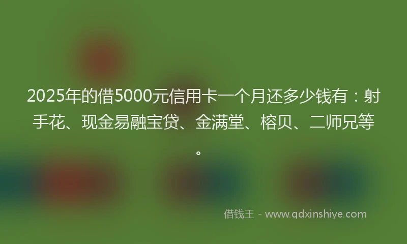 2025年的借5000元信用卡一个月还多少钱有：射手花、现金易融宝贷、金满堂、榕贝、二师兄等。