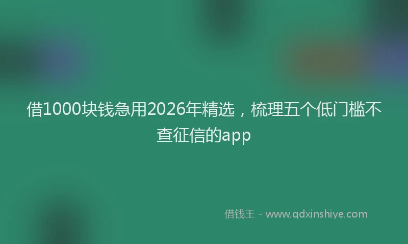 借1000块钱急用2026年精选，梳理五个低门槛不查征信的app