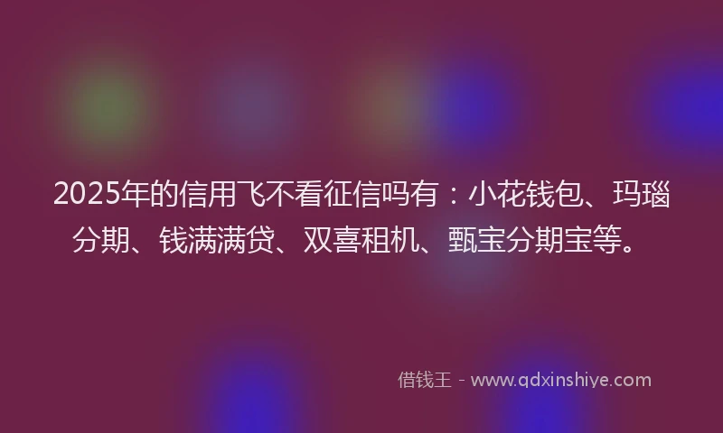 2025年的信用飞不看征信吗有：小花钱包、玛瑙分期、钱满满贷、双喜租机、甄宝分期宝等。