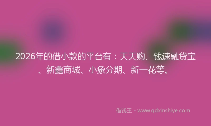 2026年的借小款的平台有:天天购、钱速融贷宝、新鑫商城、小象分期、新一花等。