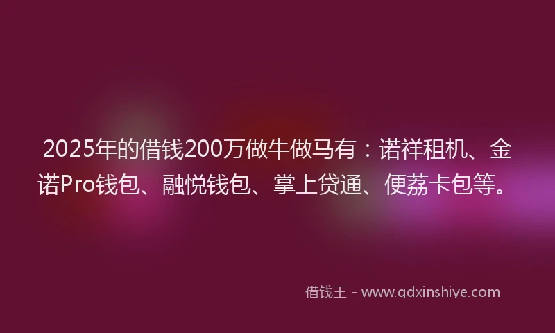 2025年的借钱200万做牛做马有：诺祥租机、金诺Pro钱包、融悦钱包、掌上贷通、便荔卡包等。