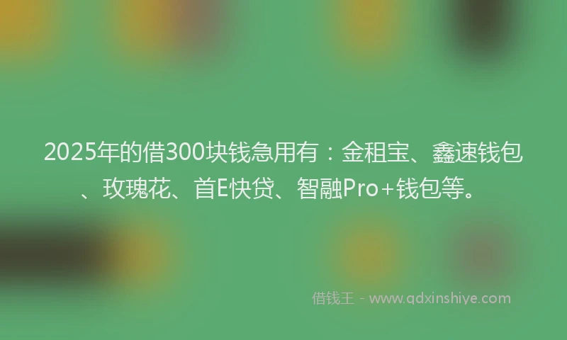 2025年的借300块钱急用有：金租宝、鑫速钱包、玫瑰花、首E快贷、智融Pro+钱包等。