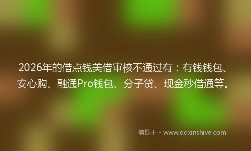 2026年的借点钱美借审核不通过有：有钱钱包、安心购、融通Pro钱包、分子贷、现金秒借通等。