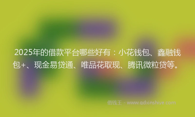 2025年的借款平台哪些好有：小花钱包、鑫融钱包+、现金易贷通、唯品花取现、腾讯微粒贷等。