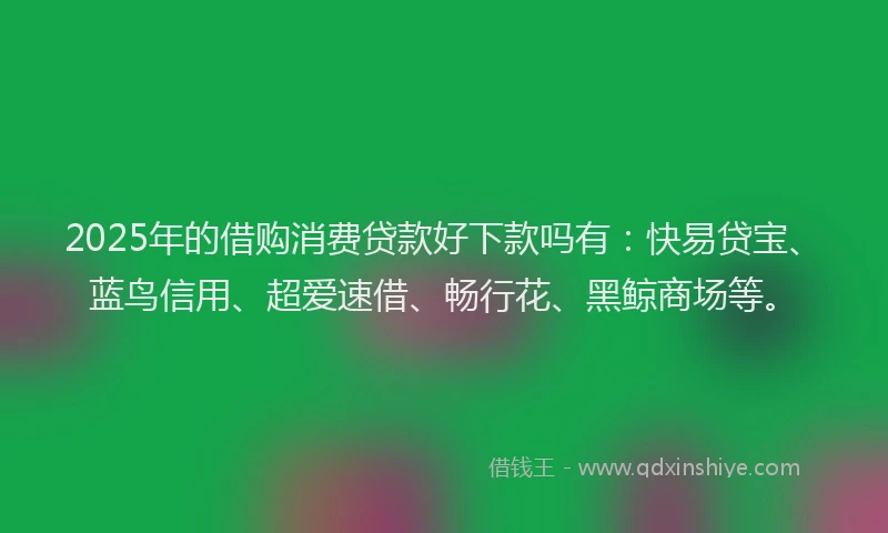 2025年的借购消费贷款好下款吗有：快易贷宝、蓝鸟信用、超爱速借、畅行花、黑鲸商场等。