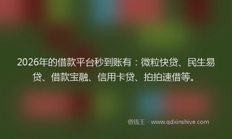 2026年的借款平台秒到账有：微粒快贷、民生易贷、借款宝融、信用卡贷、拍拍速借等。
