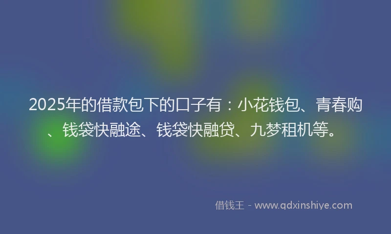 2025年的借款包下的口子有：小花钱包、青春购、钱袋快融途、钱袋快融贷、九梦租机等。