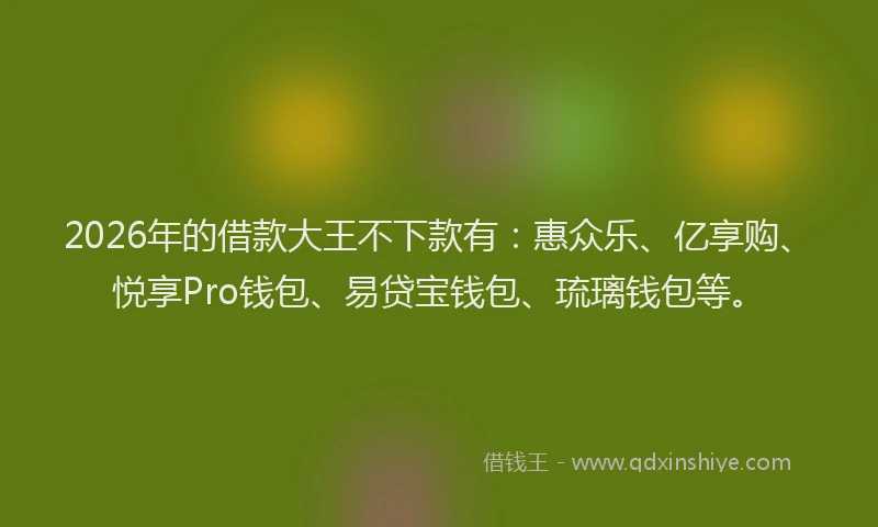 2026年的借款大王不下款有：惠众乐、亿享购、悦享Pro钱包、易贷宝钱包、琉璃钱包等。