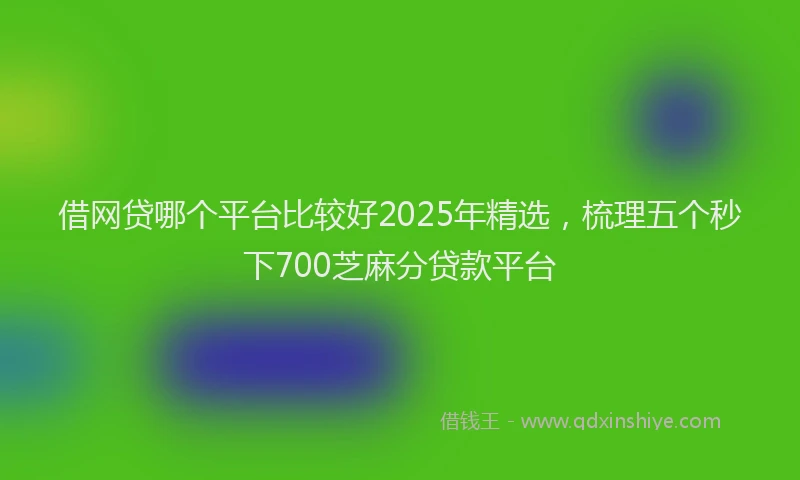 借网贷哪个平台比较好2025年精选，梳理五个秒下700芝麻分贷款平台