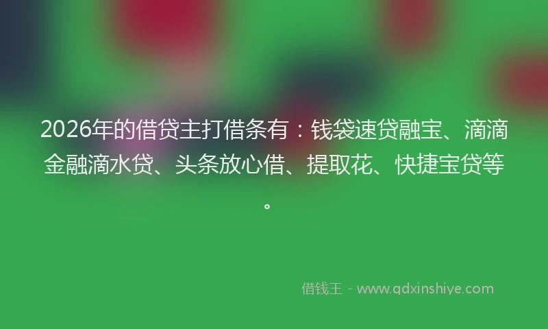 2026年的借贷主打借条有：钱袋速贷融宝、滴滴金融滴水贷、头条放心借、提取花、快捷宝贷等。