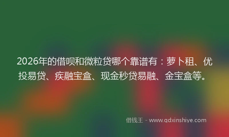 2026年的借呗和微粒贷哪个靠谱有：萝卜租、优投易贷、疾融宝盒、现金秒贷易融、金宝盒等。