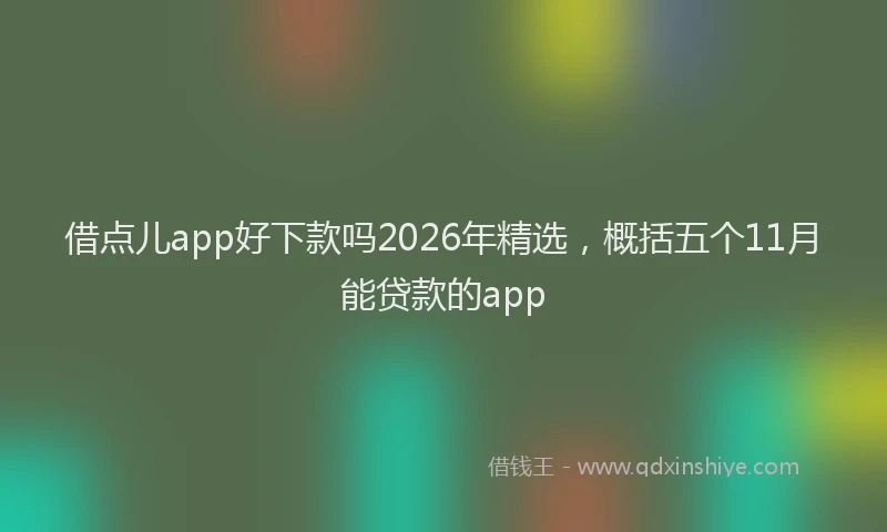 借点儿app好下款吗2026年精选,概括五个11月能贷款的app