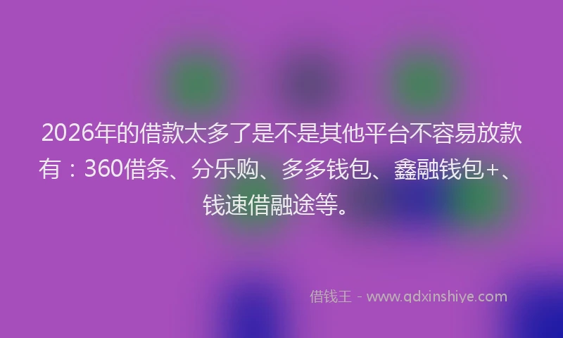 2026年的借款太多了是不是其他平台不容易放款有：360借条、分乐购、多多钱包、鑫融钱包+、钱速借融途等。