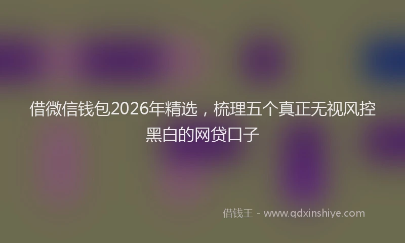 借微信钱包2026年精选，梳理五个真正无视风控黑白的网贷口子