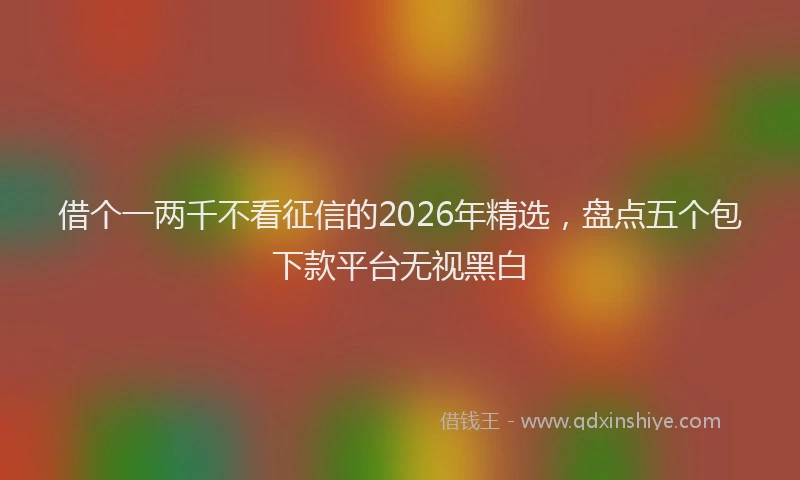 借个一两千不看征信的2026年精选，盘点五个包下款平台无视黑白