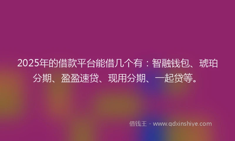 2025年的借款平台能借几个有：智融钱包、琥珀分期、盈盈速贷、现用分期、一起贷等。
