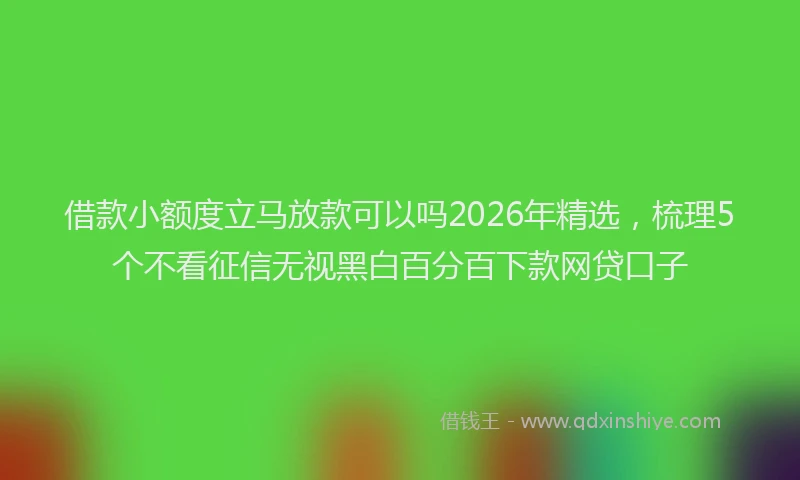 借款小额度立马放款可以吗2026年精选，梳理5个不看征信无视黑白百分百下款网贷口子