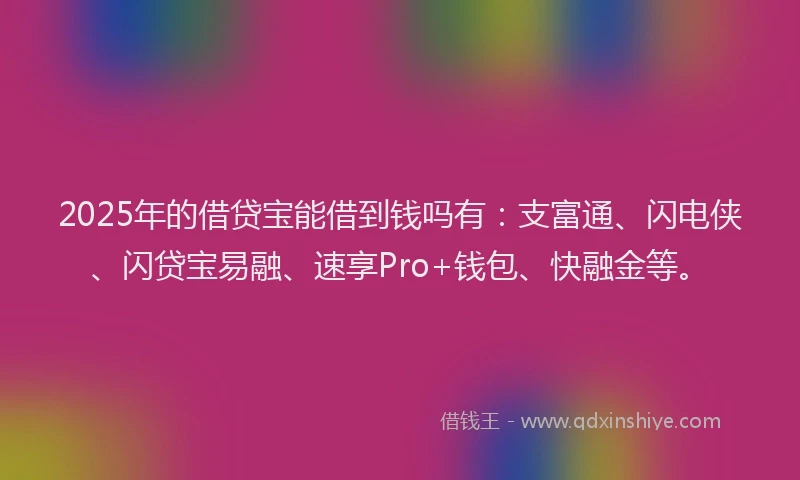 2025年的借贷宝能借到钱吗有:支富通、闪电侠、闪贷宝易融、速享Pro+钱包、快融金等。