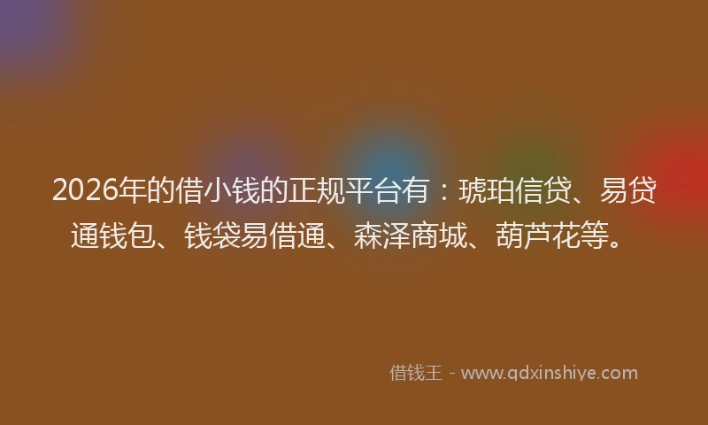 2026年的借小钱的正规平台有：琥珀信贷、易贷通钱包、钱袋易借通、森泽商城、葫芦花等。