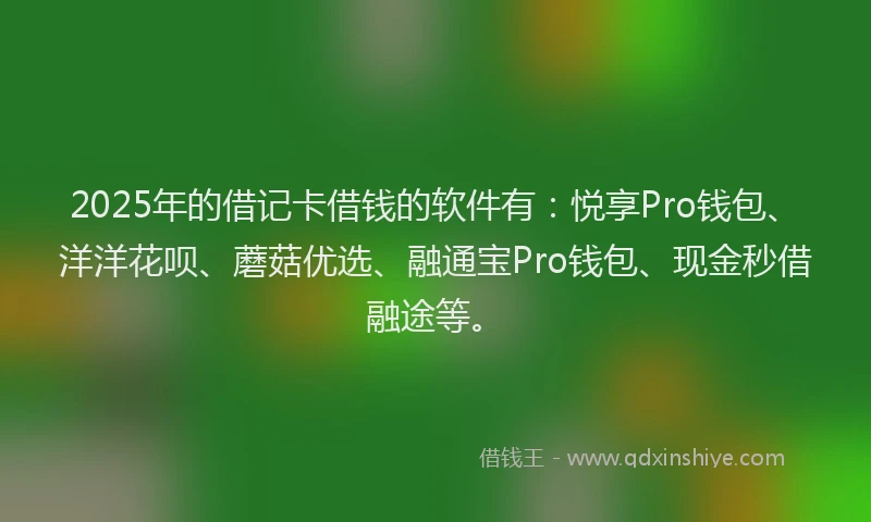 2025年的借记卡借钱的软件有：悦享Pro钱包、洋洋花呗、蘑菇优选、融通宝Pro钱包、现金秒借融途等。