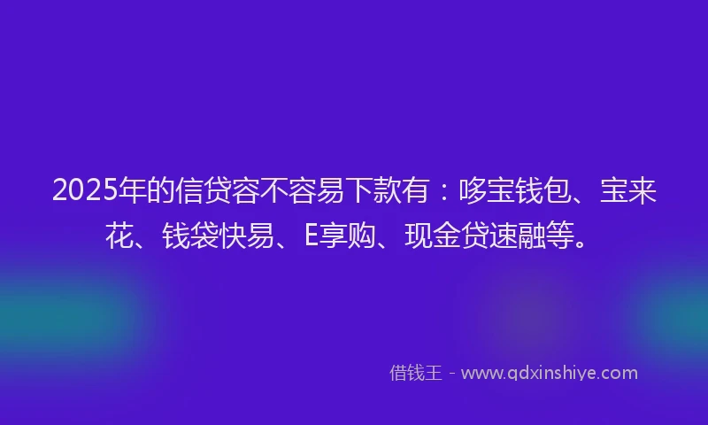 2025年的信贷容不容易下款有：哆宝钱包、宝来花、钱袋快易、E享购、现金贷速融等。