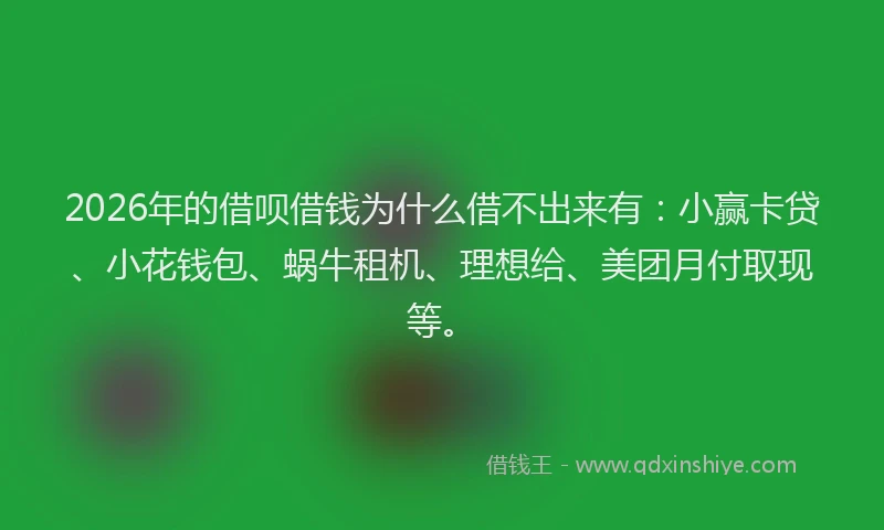 2026年的借呗借钱为什么借不出来有：小赢卡贷、小花钱包、蜗牛租机、理想给、美团月付取现等。