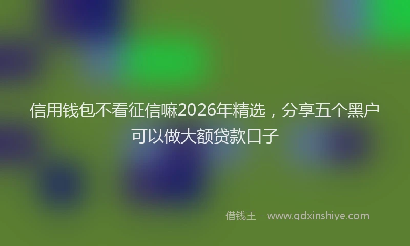 信用钱包不看征信嘛2026年精选,分享五个黑户可以做大额贷款口子