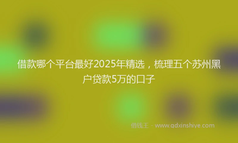 借款哪个平台最好2025年精选，梳理五个苏州黑户贷款5万的口子