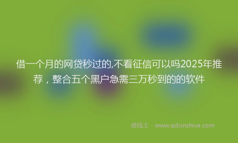 借一个月的网贷秒过的,不看征信可以吗2025年推荐，整合五个黑户急需三万秒到的的软件