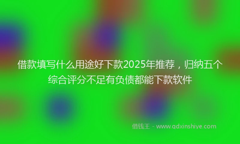 借款填写什么用途好下款2025年推荐，归纳五个综合评分不足有负债都能下款软件
